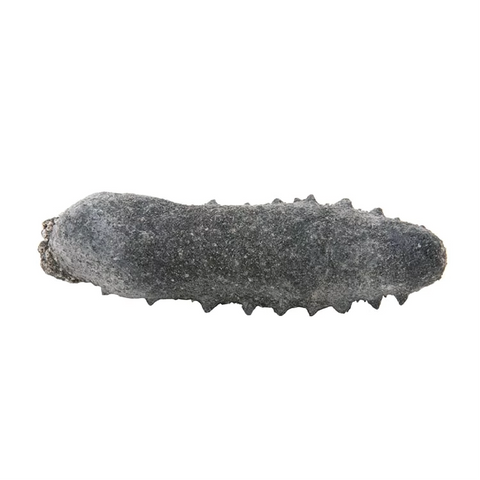 On Kee 70-90 pcs/ Catty Japan Kansai Prickly Sea Cucumber (Northwest) 安記 70-90支/斤 日本關西刺參