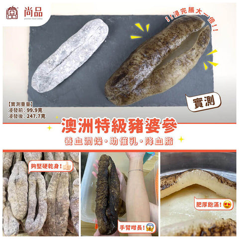 Premier Food Sea Cucumber 2-3 PCS 350G 尚品 澳洲 豬婆參 (2-3支/包) 350克 真空包裝