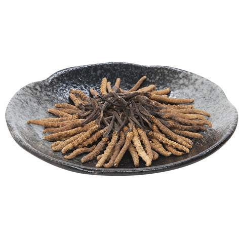 On Kee Cordyceps (205-230pcs) 安記 西藏冬蟲草 (205-230條/兩)