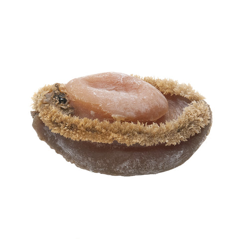 On Kee 4-6 pcs/ Catty South Africa Dried Abalone 安記  特級生曬野生南非網鮑4-6頭